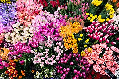 《漫威蜘蛛侠》开发商新作《漫威金刚狼》首次公开