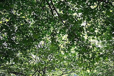 国产Roguelike卡牌《克瑞因的纷争》高能电玩节释出新短片